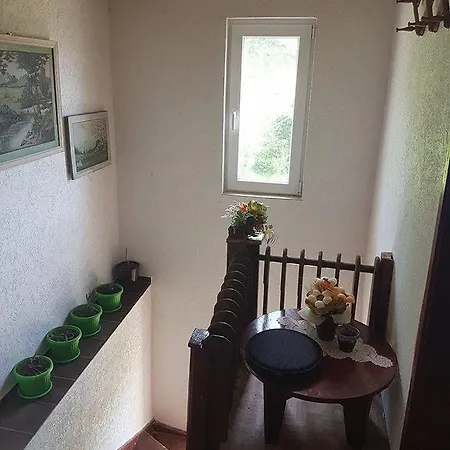 Bukovete