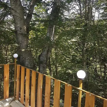 Bukovete * Smolyan